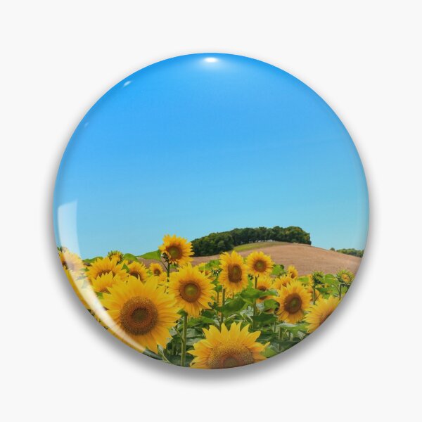 Artikelvorschau, Sonnenblumenfeld in einem klaren Himmel entworfen und verkauft von Tim Scott.