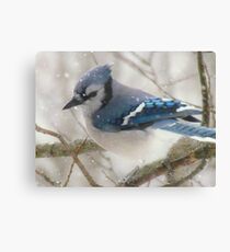 A Blue Gray Day Canvas Print