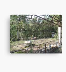Dodgems/bumper cars, Chernobyl exclusion zone Canvas Print