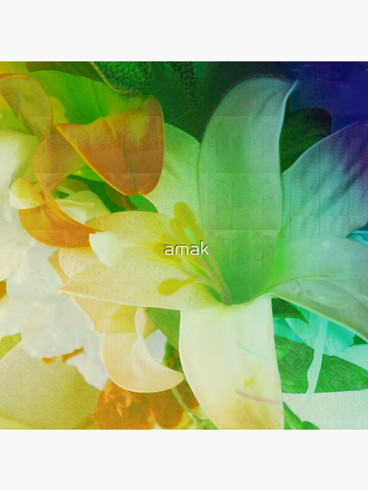 Texturized Flowers by amak