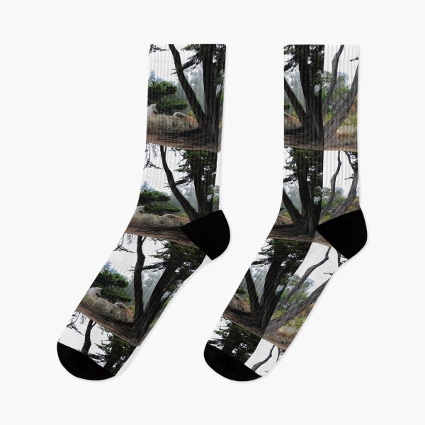 Item preview, Nature's Horse...? designed and sold by heatherfriedman.