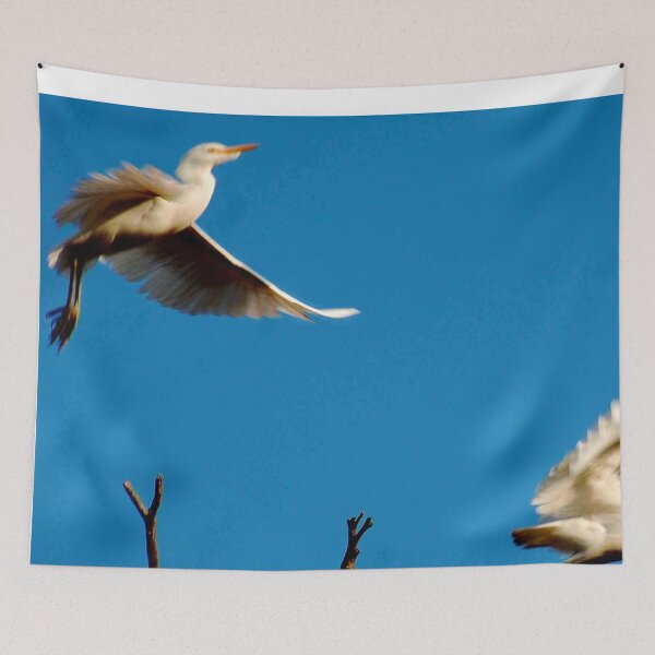 Item preview, IN FLIGHT -  CATTLE EGRET - Bubulcus ibis designed and sold by Magriet Meintjes.
