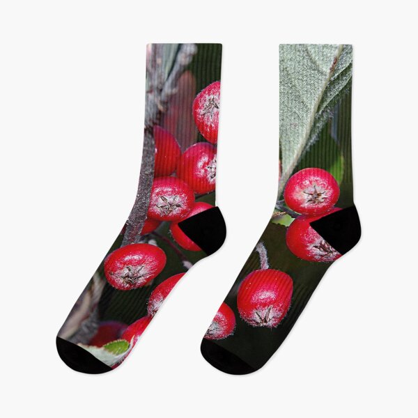 Item preview, Brilliant red autumn berries - Aronia fruit designed and sold by rvjames.