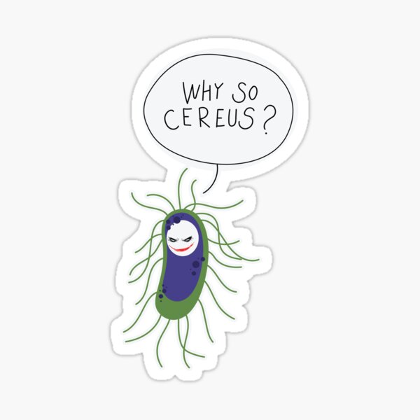 Microbes puns ft. Bacillus cereus Sticker