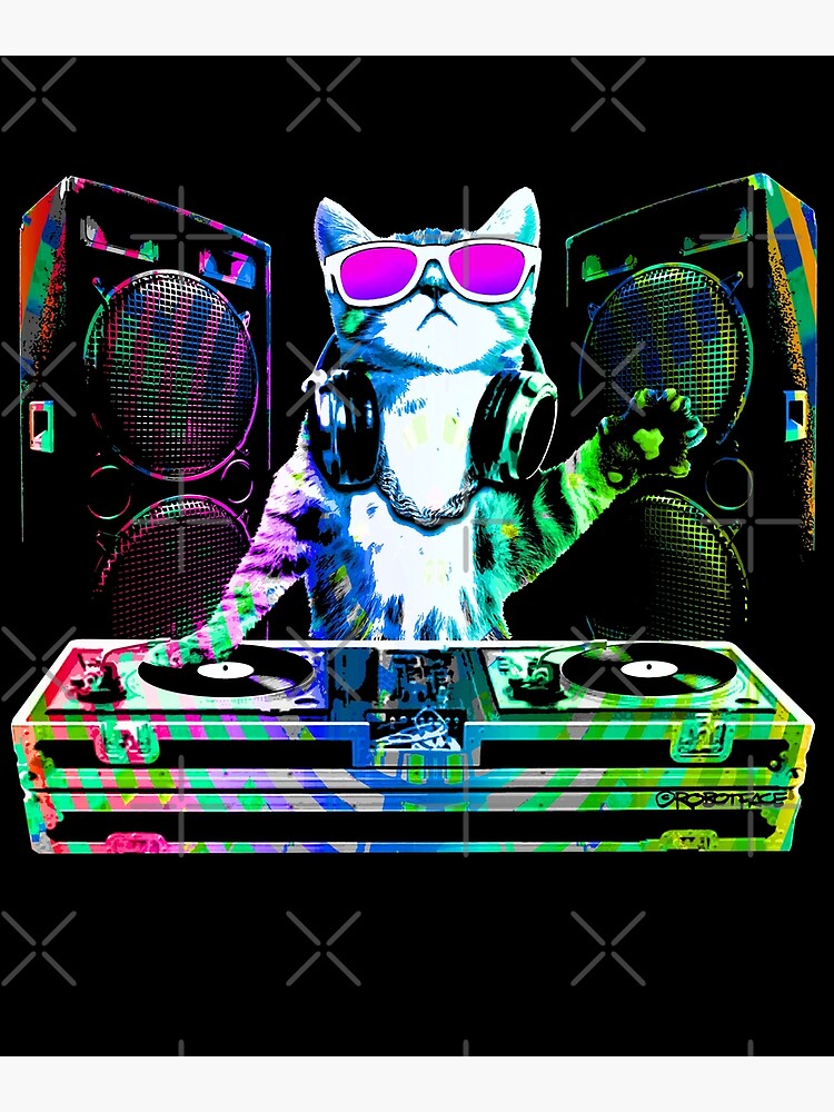  HOUSE CAT (Rainbow DJ Cat Kitty) T-Shirt : Clothing, Shoes &  Jewelry