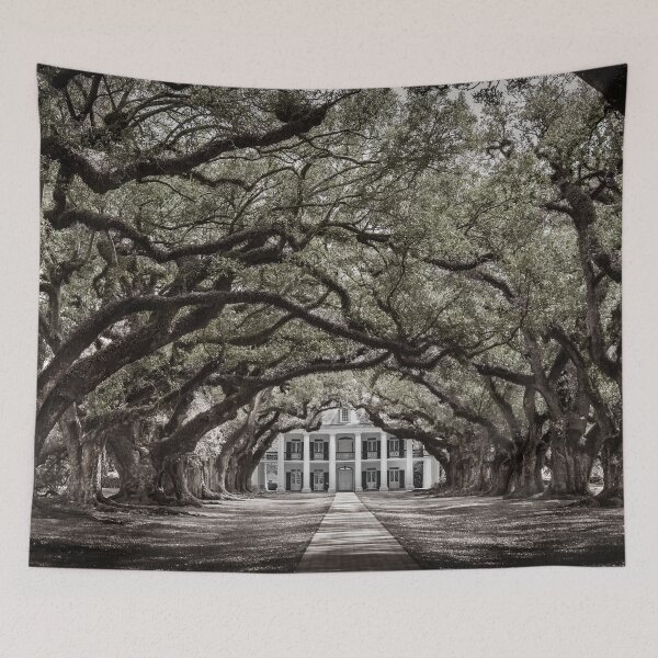 Item preview, Oak Alley Plantation Historic Site New Orleans Louisiana USA designed and sold by flariv.