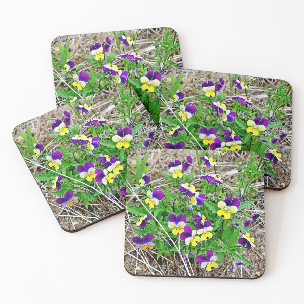 Item preview, Glen Haven 2020 Study 9  designed and sold by Robert Meyers-Lussier.