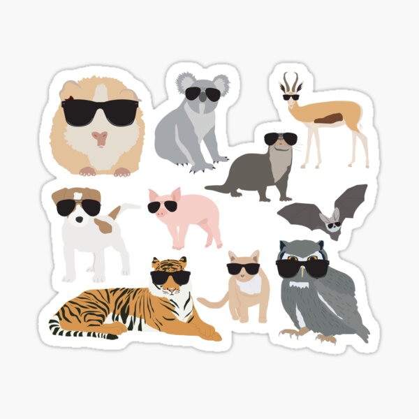 Cool and Funny Animals Wearing Sunglasses Sticker