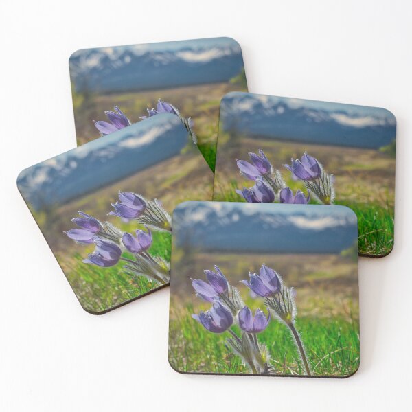 Item preview, Prairie Crocuses and the Granites designed and sold by mahnkephotos.