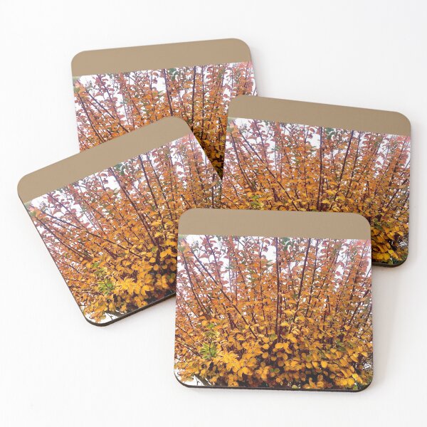 Item preview,  Autumn Colour designed and sold by KazM.