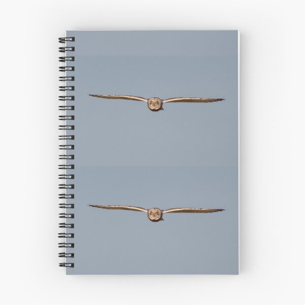 Item preview, short eared owl designed and sold by tammy mellor.