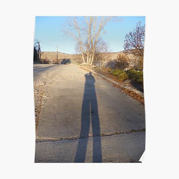 long leged ladie Poster