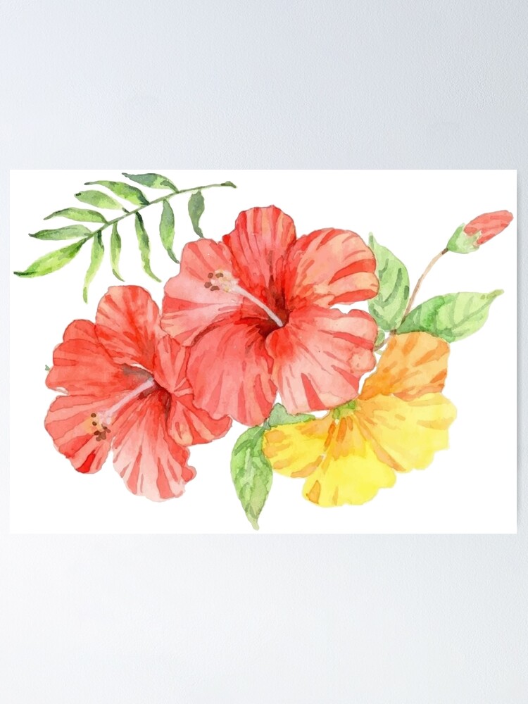 Poster « Fleur d'hibiscus aquarelle », par KawaiiDesuCo | Redbubble