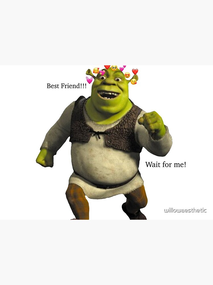 shrek meme | Art Board Print