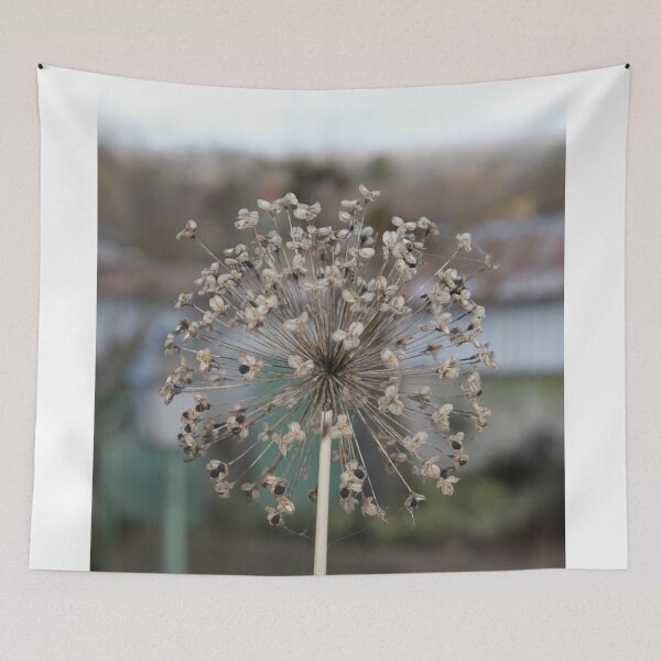 Item preview, Spherical garlic allium dry flower	 designed and sold by EstelleRossetti.