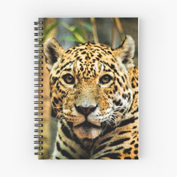Item preview,  Jaguar designed and sold by Joanne wilde.