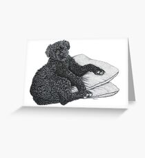 Cocotte - Bouvier De Flandres Greeting Card