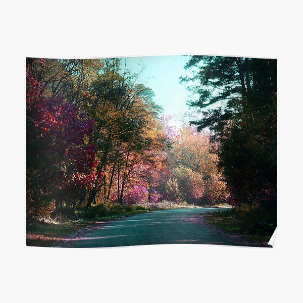 The road through the forest Poster