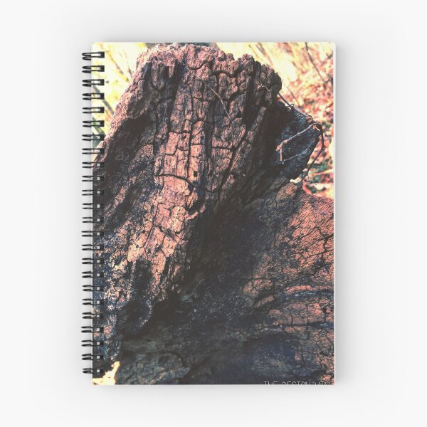 Item preview, This Uprooted Tree designed and sold by thedesignvine.