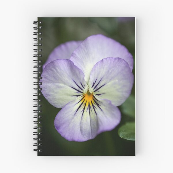 Item preview, Violet so Violet close-up designed and sold by Jouko Lehto Photography.