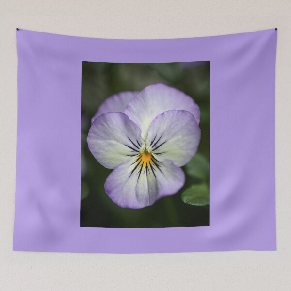 Item preview, Violet so Violet close-up designed and sold by Jouko Lehto Photography.