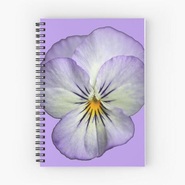 Item preview, Violet so Violet close-up without background designed and sold by Jouko Lehto Photography.