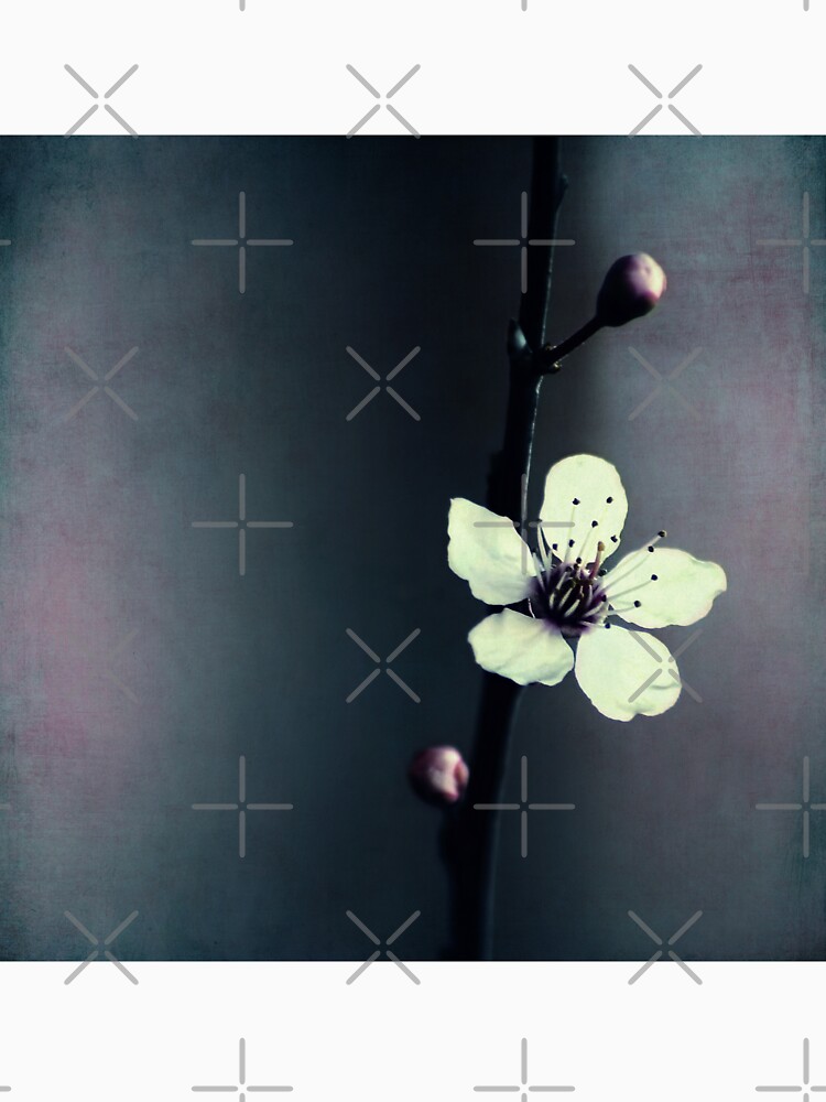 cherry blossom flower by Ingz