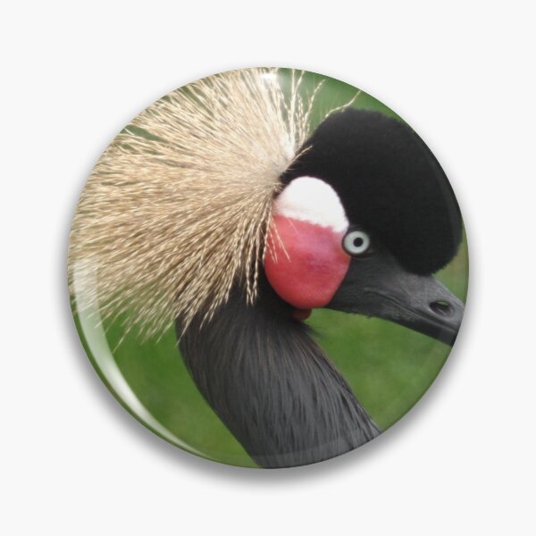 Item preview, Black Crowned Crane ~ Balearica pavonina designed and sold by ApricotBlossom.