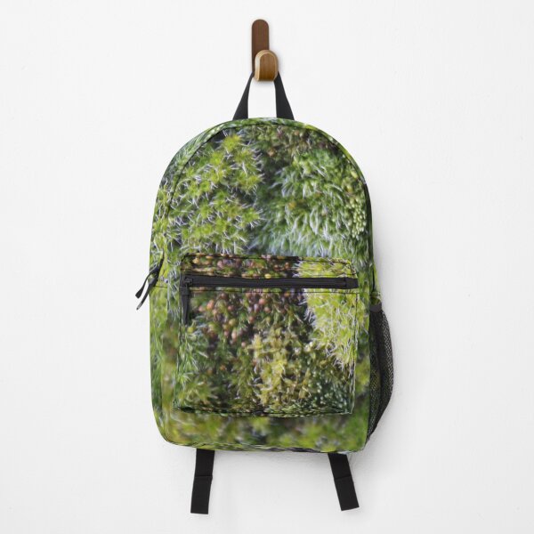 Item preview, Green moss on a wet wall designed and sold by EstelleRossetti.