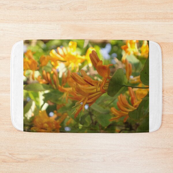 Item preview, mass of honeysuckle in spring designed and sold by 6059.