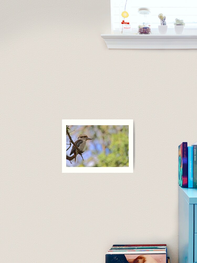 Thumbnail 2 of 3, Art Print, Kookaburra Watching designed and sold by theoddshot.