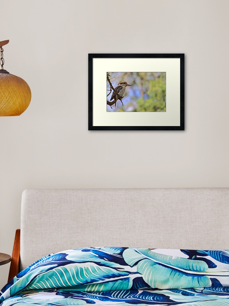 Thumbnail 2 of 7, Framed Art Print, Kookaburra Watching designed and sold by theoddshot.