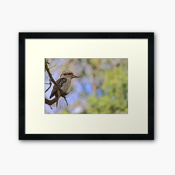 Framed Art Print