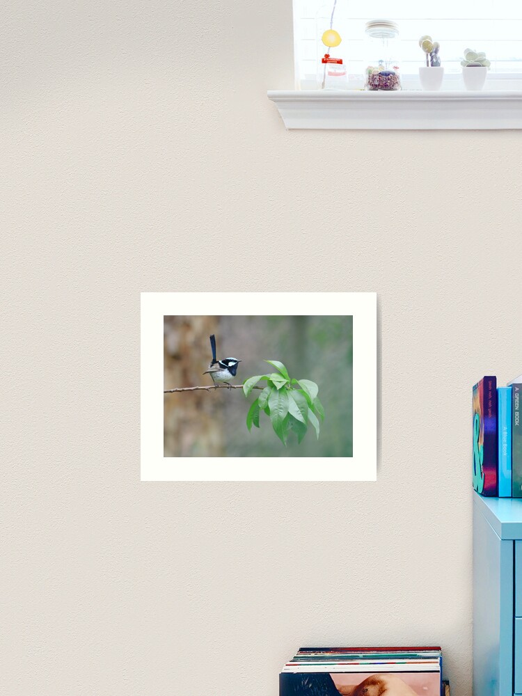 Thumbnail 2 of 3, Art Print, Male Superb Fairy Wren on a Peach Branch designed and sold by theoddshot.