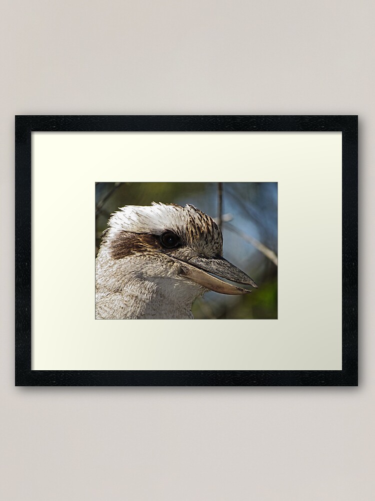 Alternate view of Kookaburra Portrait Framed Art Print