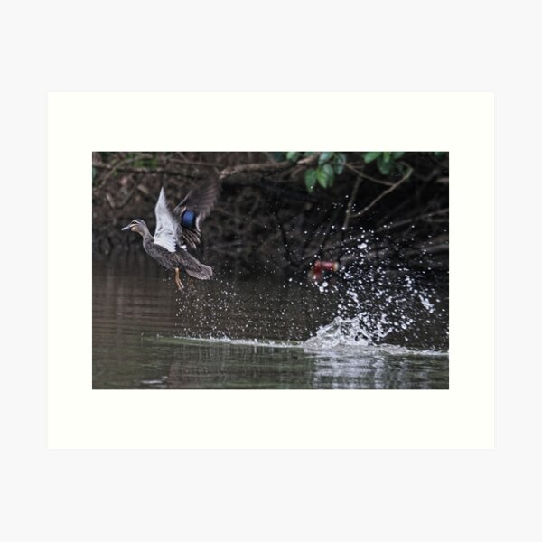 Take off! Art Print