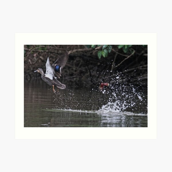 Take off! Art Print