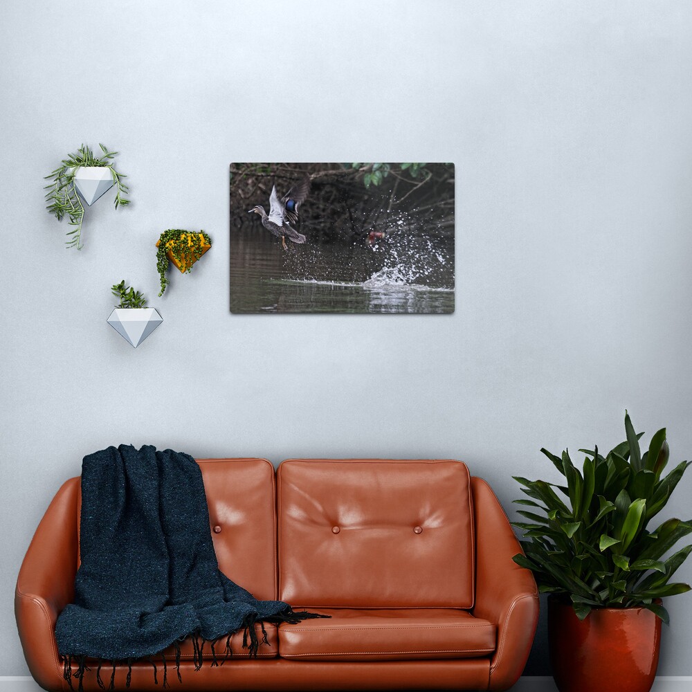 Take off! Metal Print