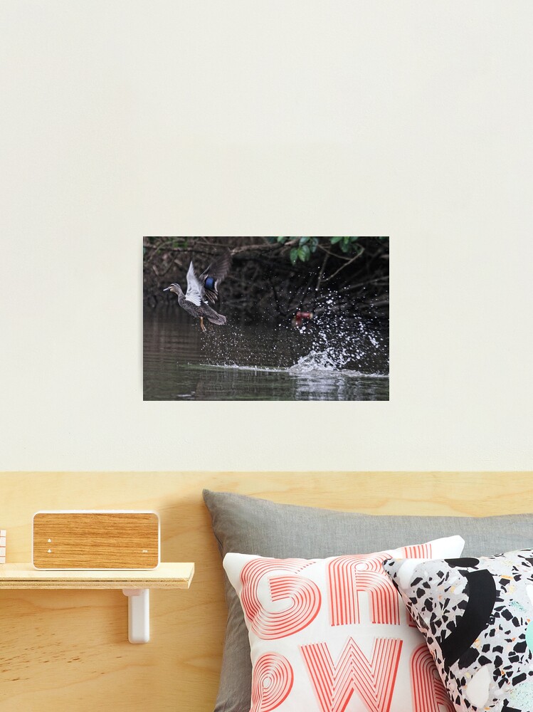 Thumbnail 2 of 3, Photographic Print, Take off! designed and sold by theoddshot.