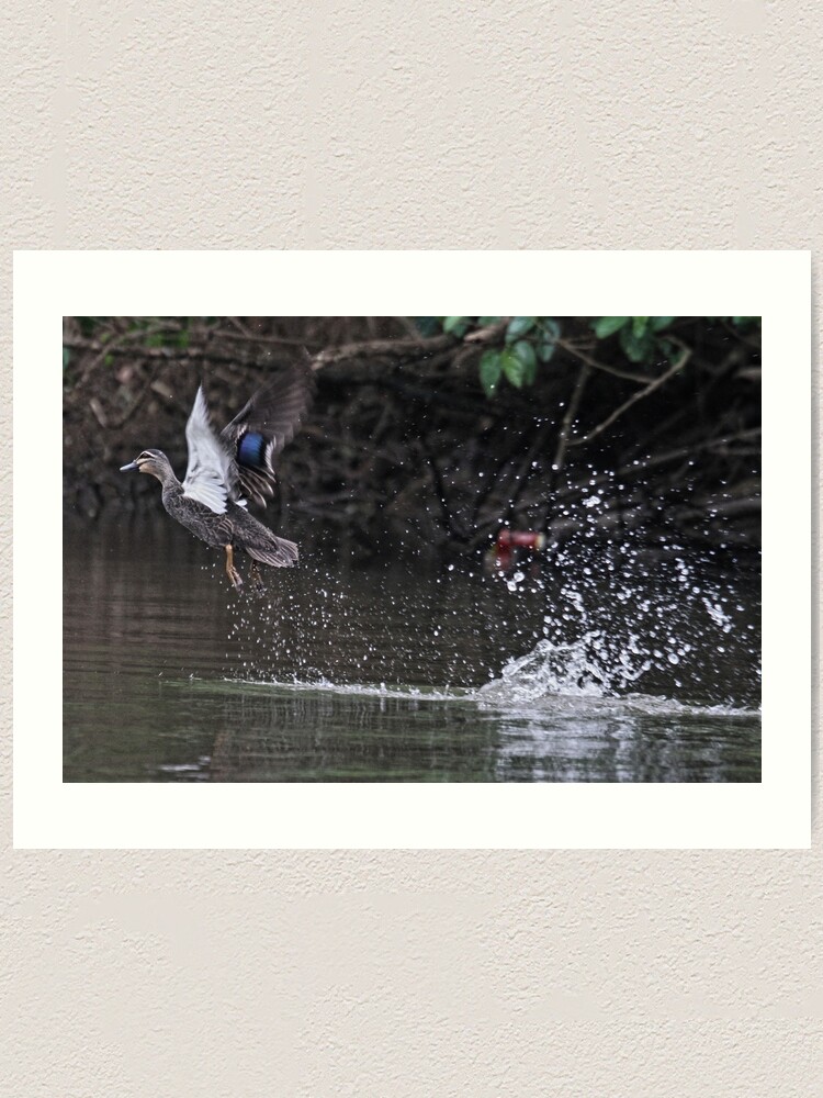 Alternate view of Take off! Art Print