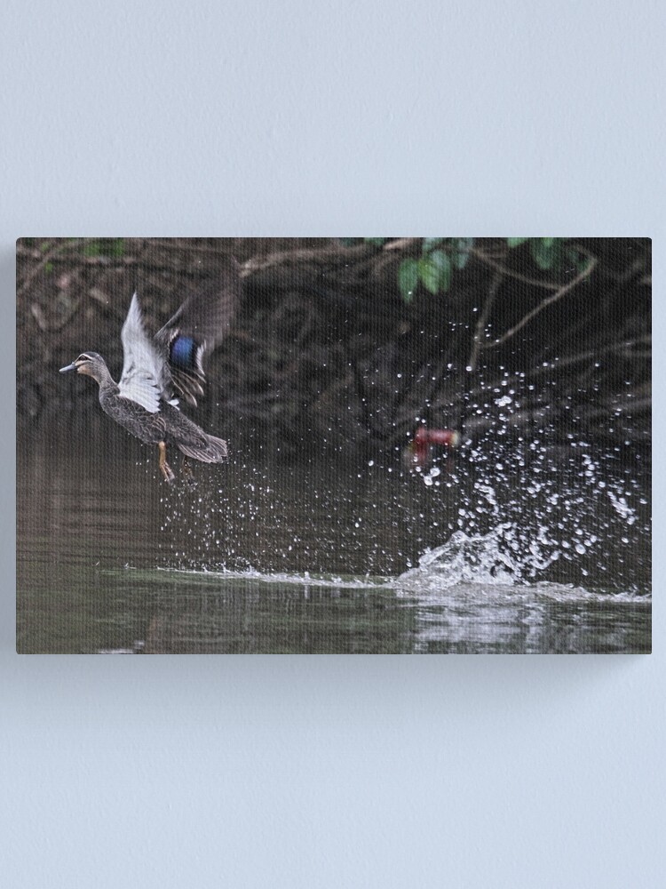 Alternate view of Take off! Canvas Print