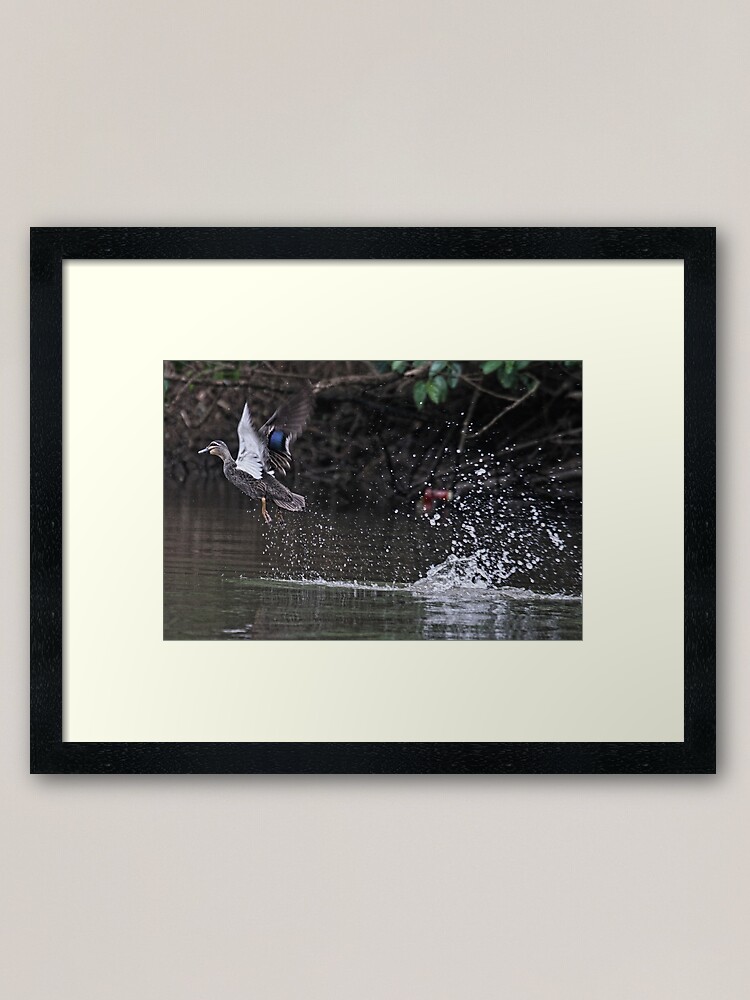 Alternate view of Take off! Framed Art Print