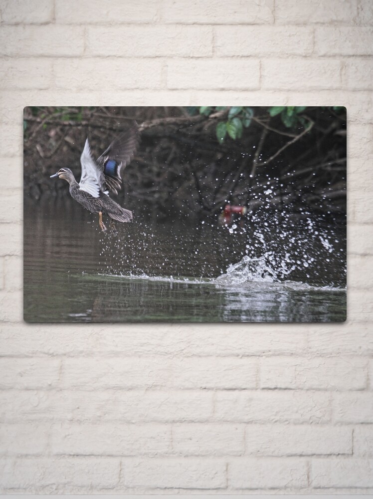 Alternate view of Take off! Metal Print