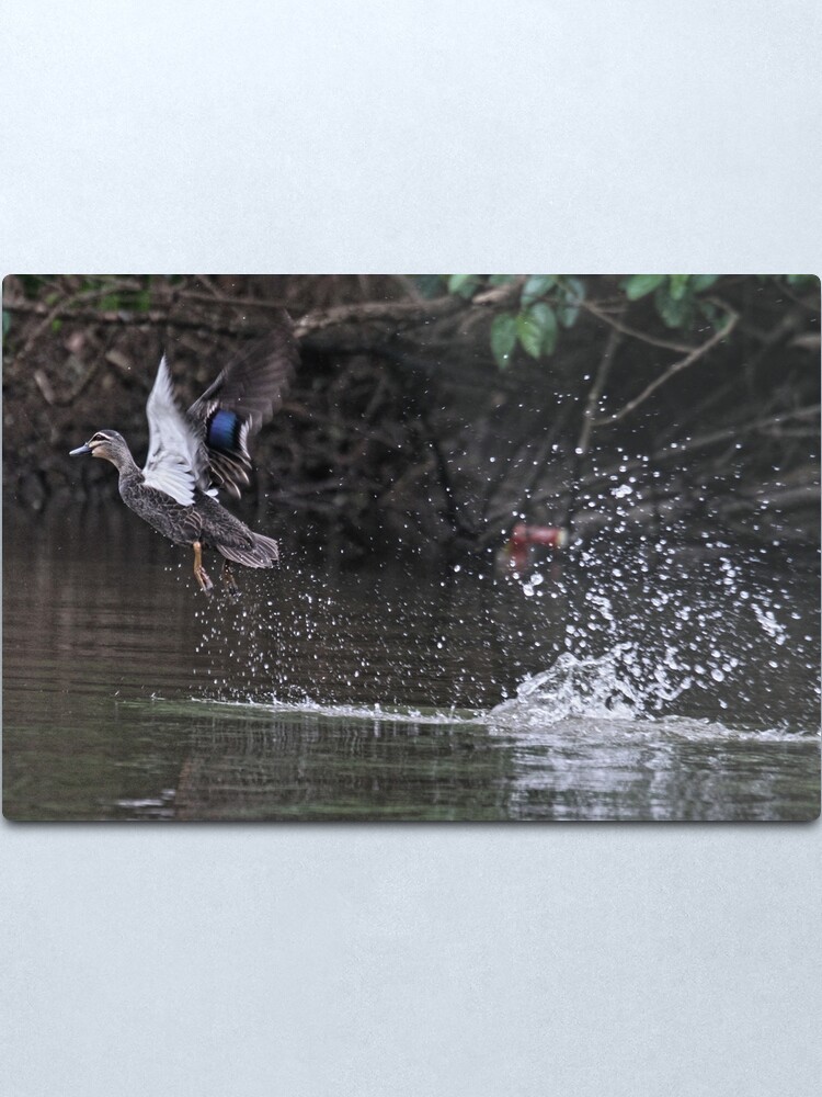 Alternate view of Take off! Metal Print