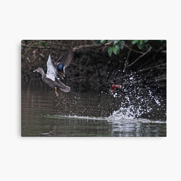 Take off! Canvas Print