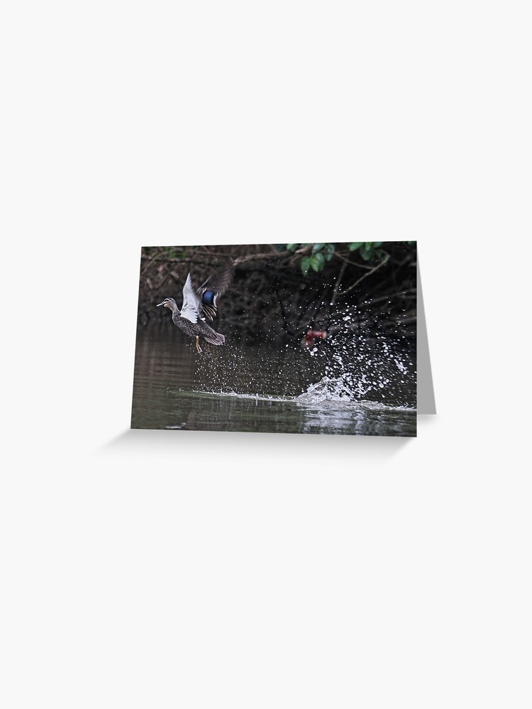 Thumbnail 1 of 2, Greeting Card, Take off! designed and sold by theoddshot.