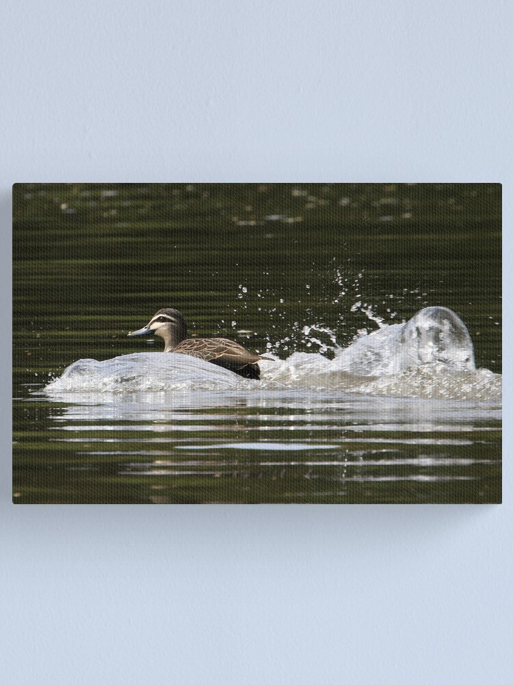 Alternate view of Splashdown! Canvas Print