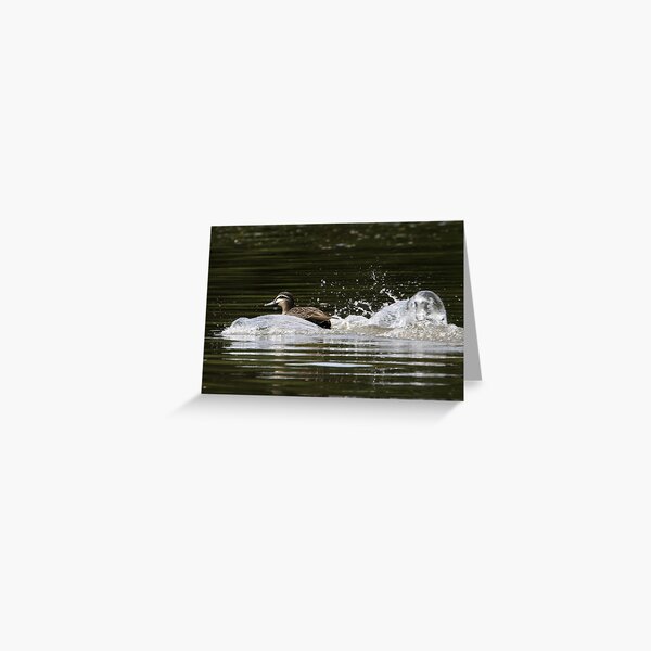 Splashdown! Greeting Card