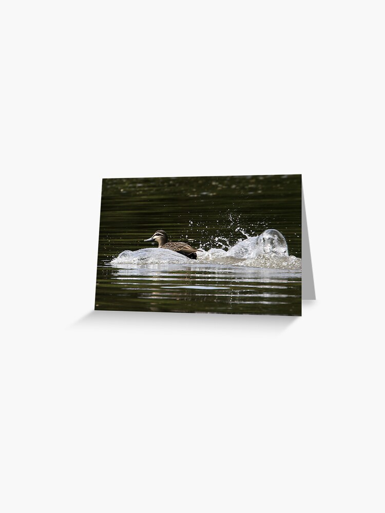Thumbnail 1 of 2, Greeting Card, Splashdown! designed and sold by theoddshot.