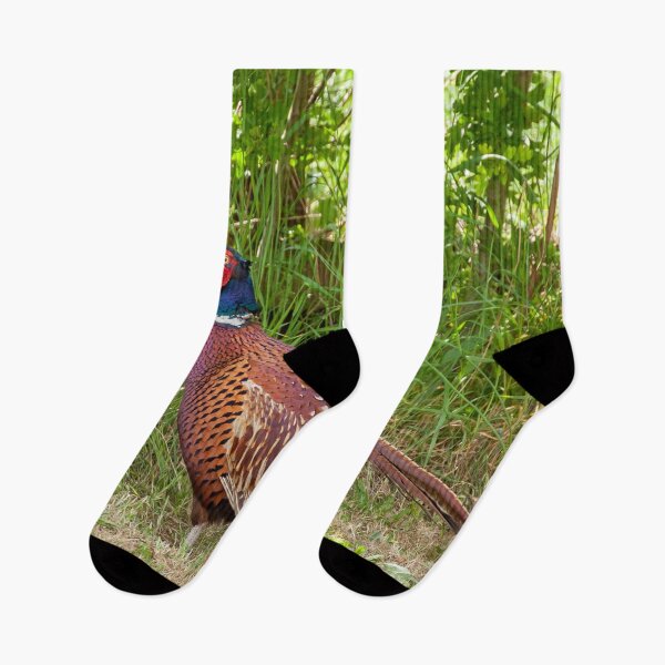 Item preview, Beautiful wild pheasant bird close up designed and sold by simonbratt.